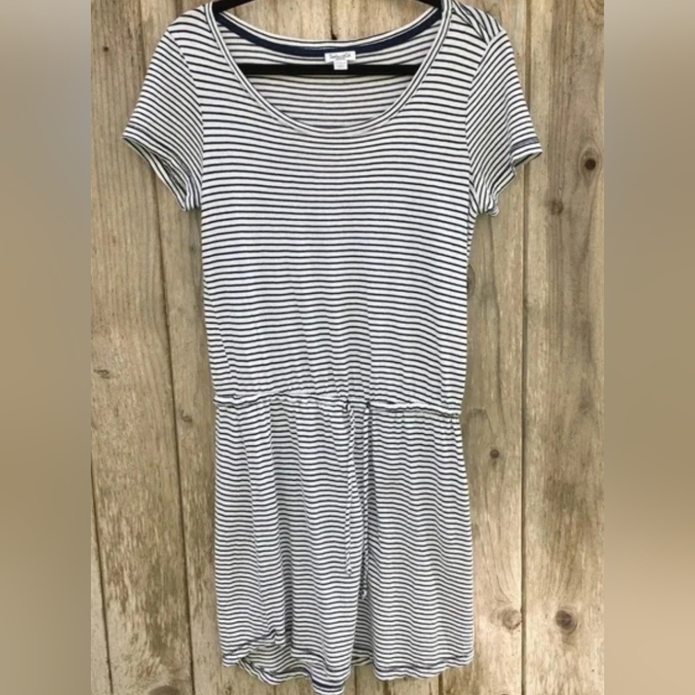 Splendid Navy and Cream Striped Dress